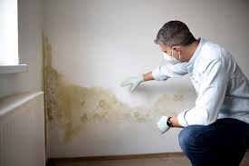 Best Airborne Mold Testing  in Hoquiam, WA